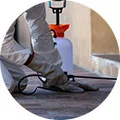 Professional Bed Bug Control Treatment in Dhaka